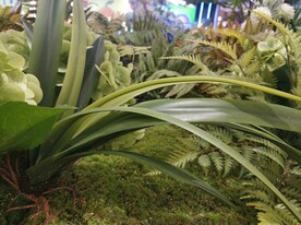假花 假草  