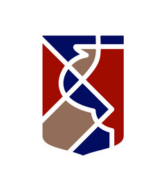 旗形logo