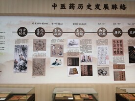 中医药发展史