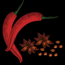 手绘线描干副调料素材