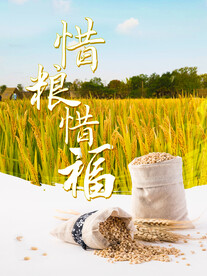珍惜粮食公益宣传   