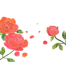 中秋插画           