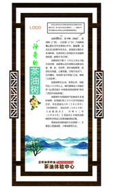 神奇的茶油树