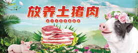 放养土猪肉