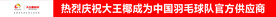 大王椰板材