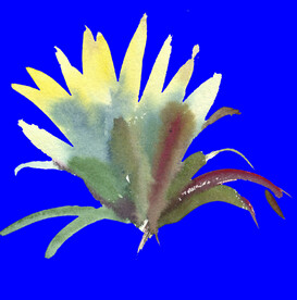 植物水彩画