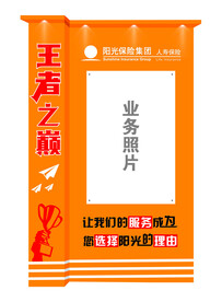 阳光保险  