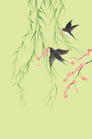 春天燕子柳树