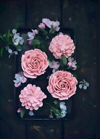 冰淇淋玫瑰