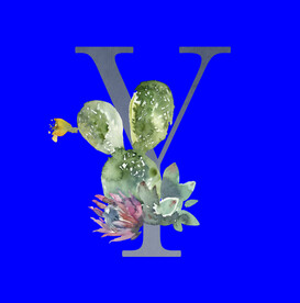 水彩拼音字母