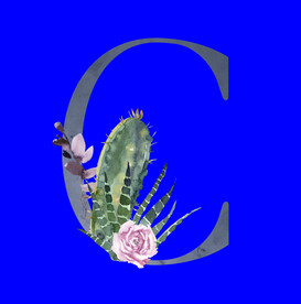 水彩拼音字母