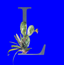 水彩拼音字母