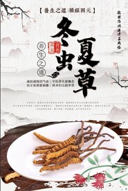 冬虫夏草