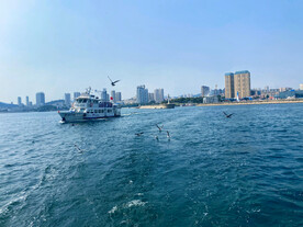 出海