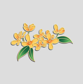 牡丹花卉