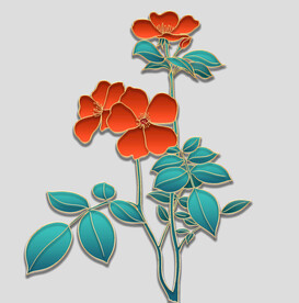 牡丹花卉