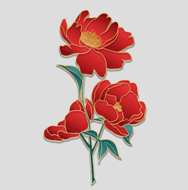 牡丹花卉