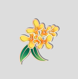 牡丹花卉