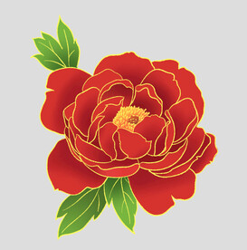 牡丹花卉