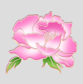 牡丹花卉