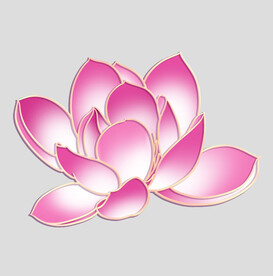 牡丹花卉