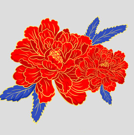 牡丹花卉