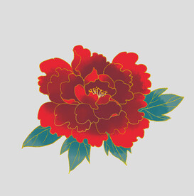 牡丹花卉