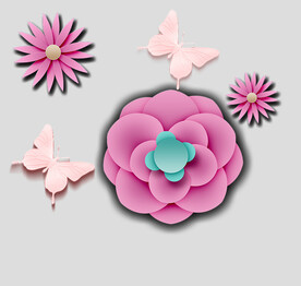 牡丹花卉