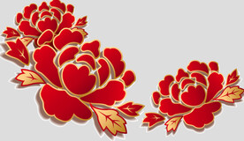 牡丹花卉