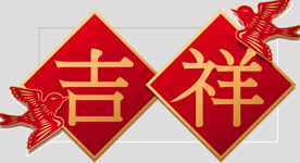 牡丹花卉