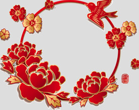 牡丹花卉
