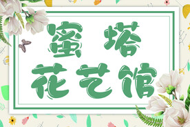 鲜花店 花艺馆