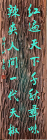 红遍天下