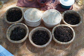 摆放在簸箕上的几种茶叶