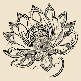 莲花线描