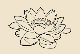 莲花线描