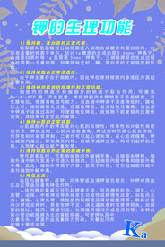 钾的生理功能