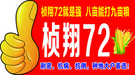 桢翔72
