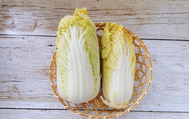 小白菜图片