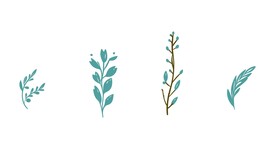 小草