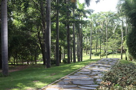 深圳坝光