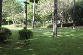 深圳坝光