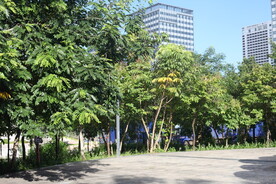 深圳坝光