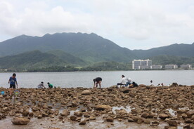深圳坝光