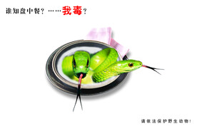 禁毒海报
