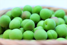 青梅