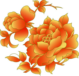 牡丹花