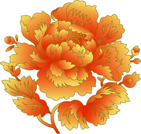 牡丹花