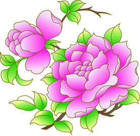 牡丹花