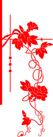 牵牛花